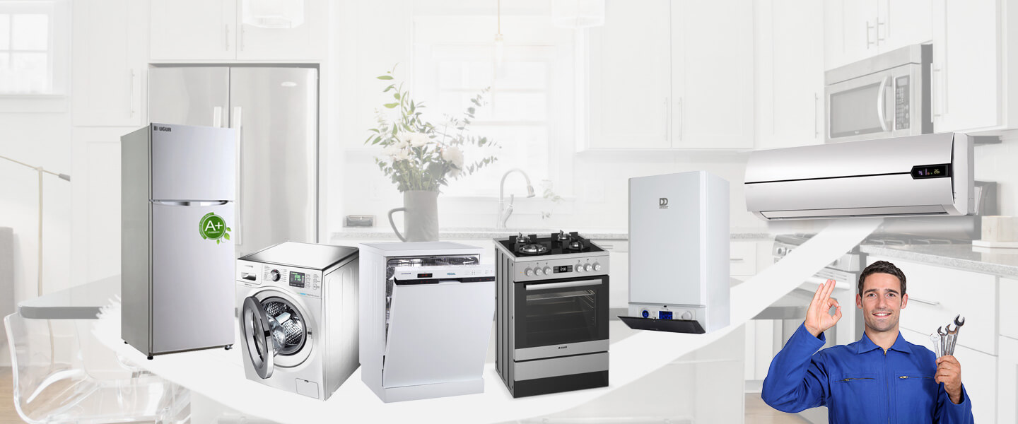 Denizli Electrolux Servisi